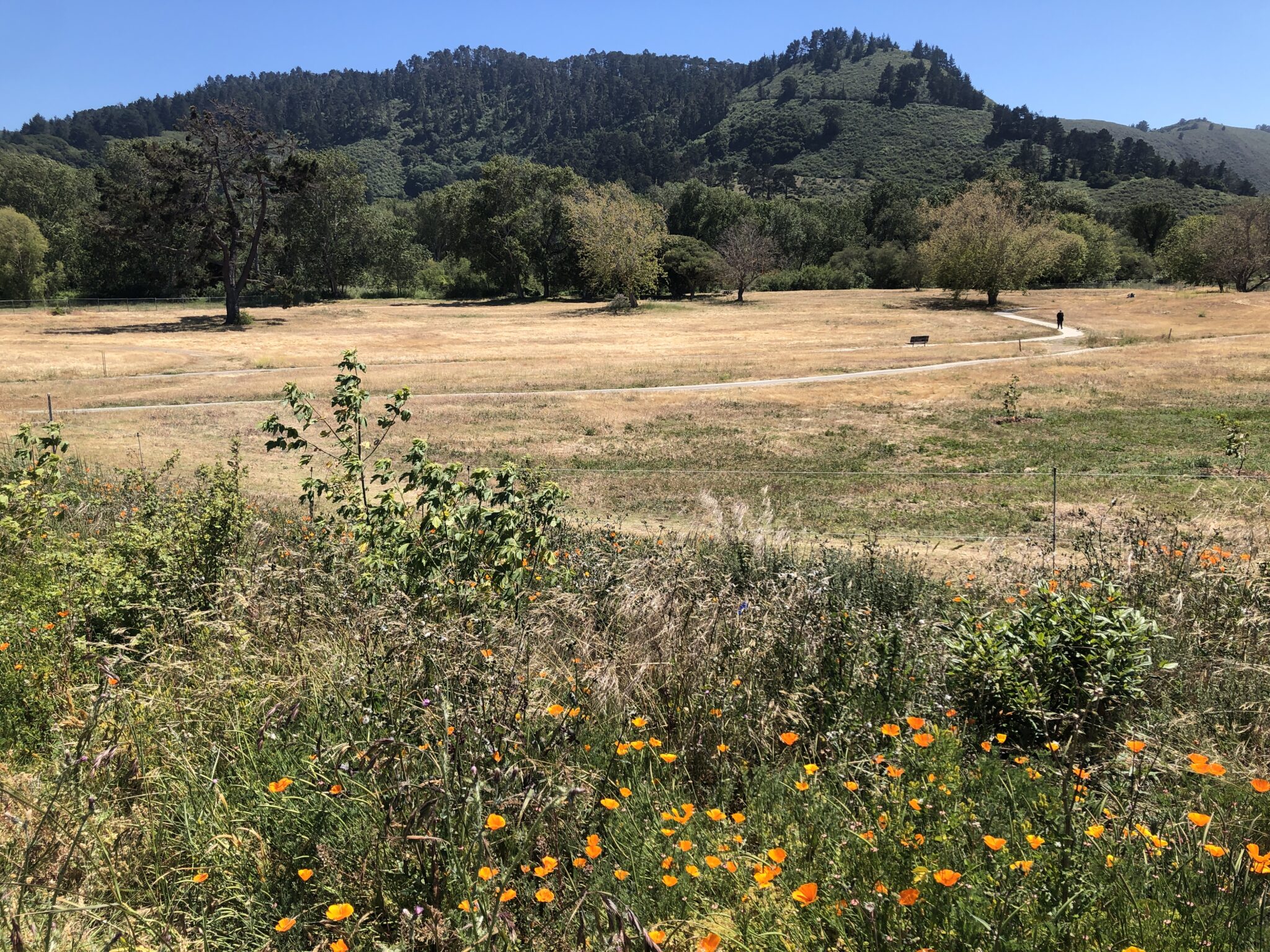 Rancho Cañada Floodplain Restoration Project California State Coastal Conservancy