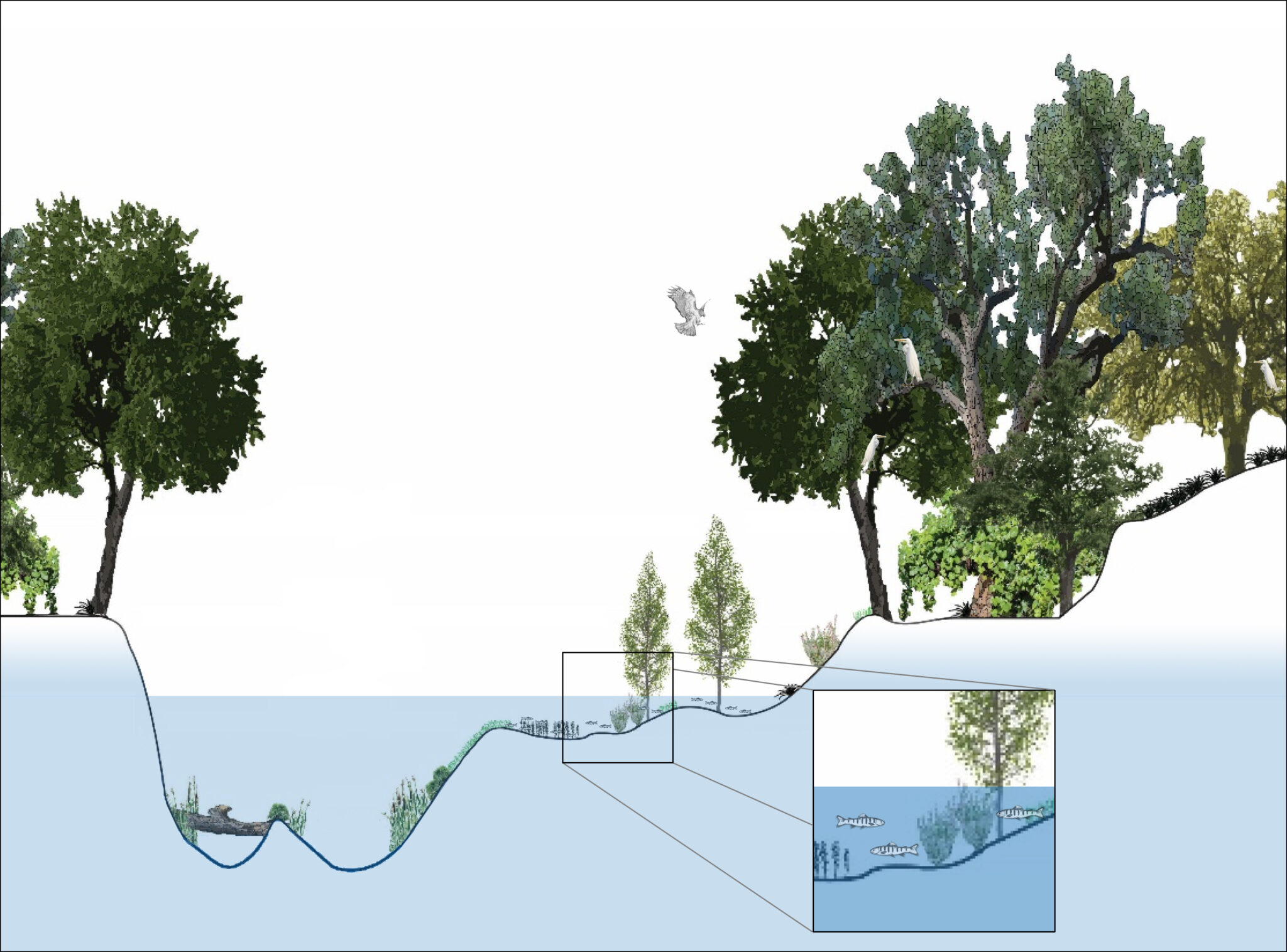 Rancho Cañada Floodplain Restoration Project California State Coastal Conservancy